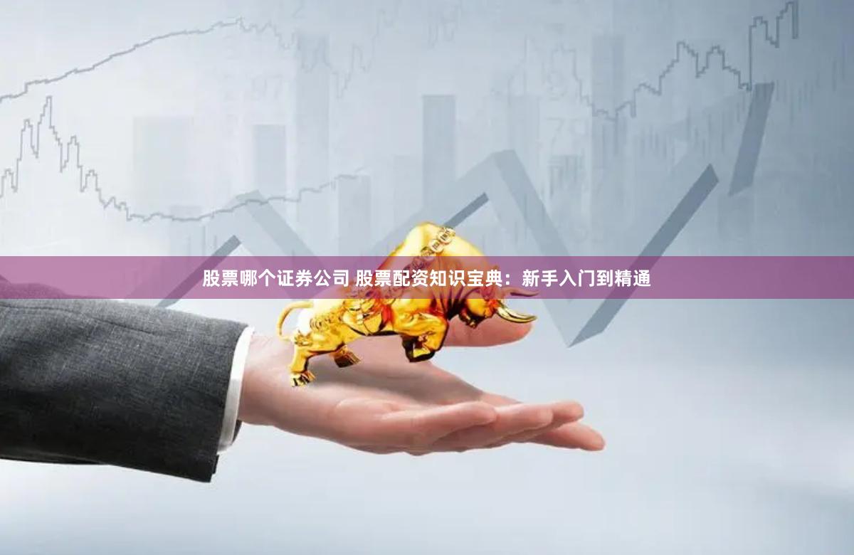股票哪个证券公司 股票配资知识宝典：新手入门到精通