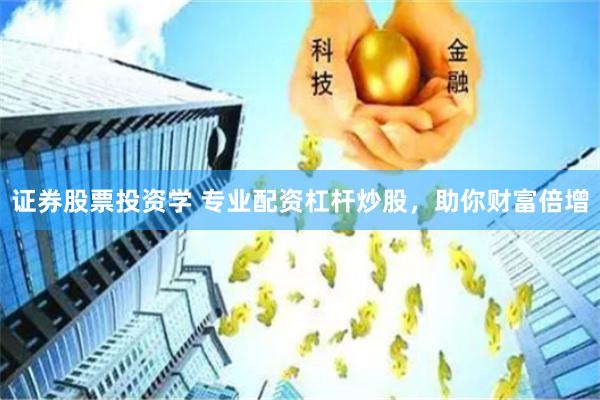 证券股票投资学 专业配资杠杆炒股，助你财富倍增